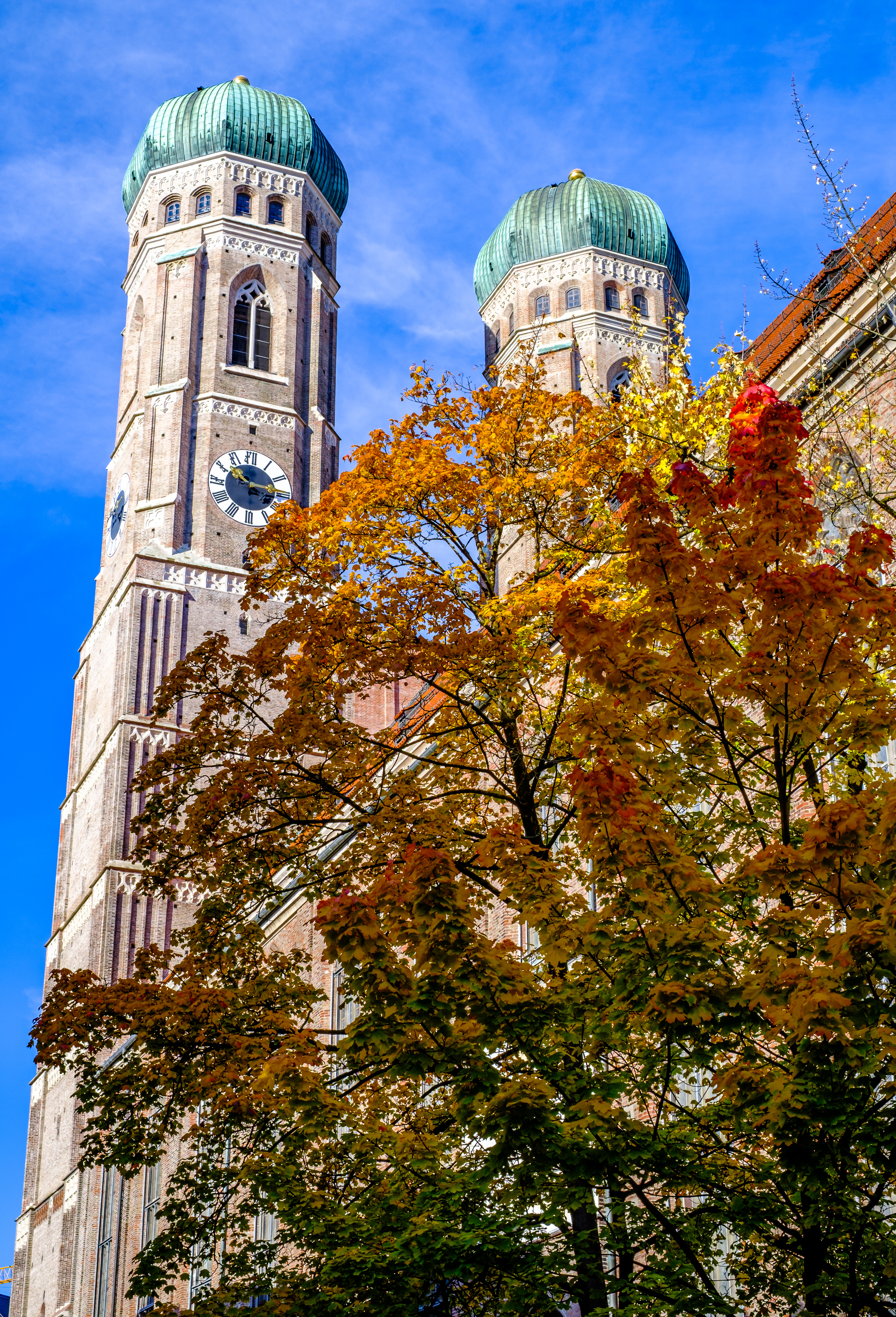 Delliwood Werbeagentur