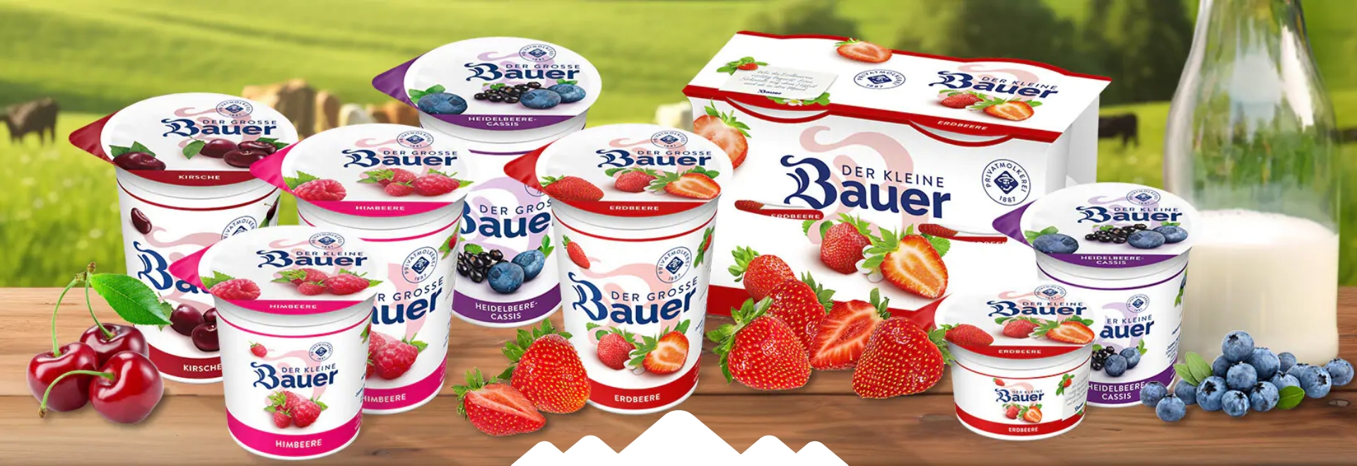 brandcom werbeagentur frankfurt koeln muenchen referenzen bauer natur header