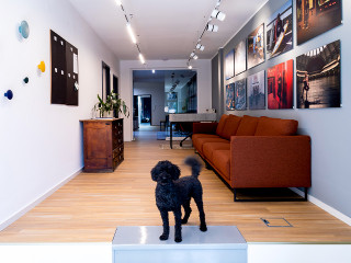 brandcom werbeagentur koeln buerohund berti