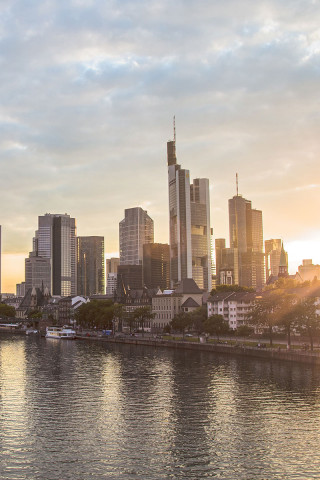brandcom werbeagentur standort frankfurt teaser