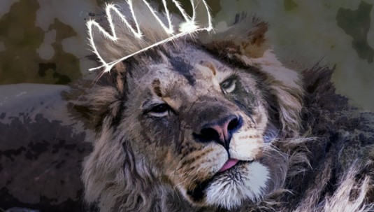 werbeagentur content marketing content is king teaser v2