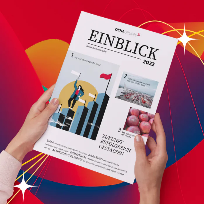 brandcom werbeagentur frankfurt koeln muenchen essen referenzen deha magazin einblick 
