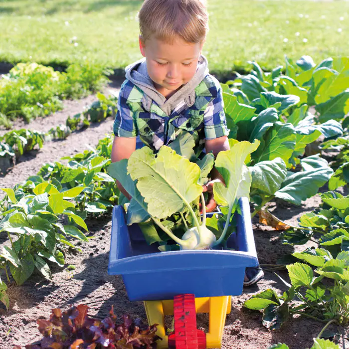 13 BC Kunde Biologisch