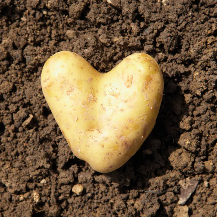 04 BC Kunde Biologisch