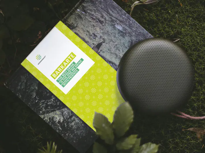 werbeagentur referenzen gruendergeist ball barkarte