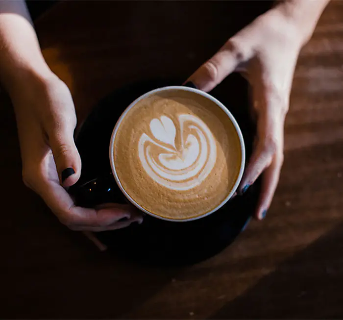 die kaffeemeister tasse haende