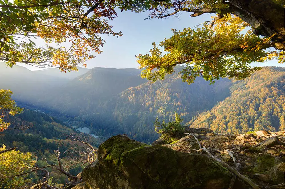 enverde berglandschaft