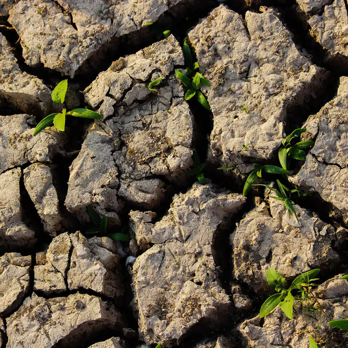 brandcom wirtschaft fuer wandel erde