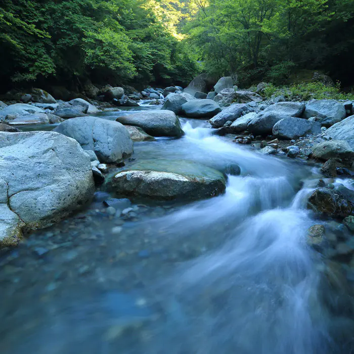 brandcom wirtschaft fuer wandel fluss