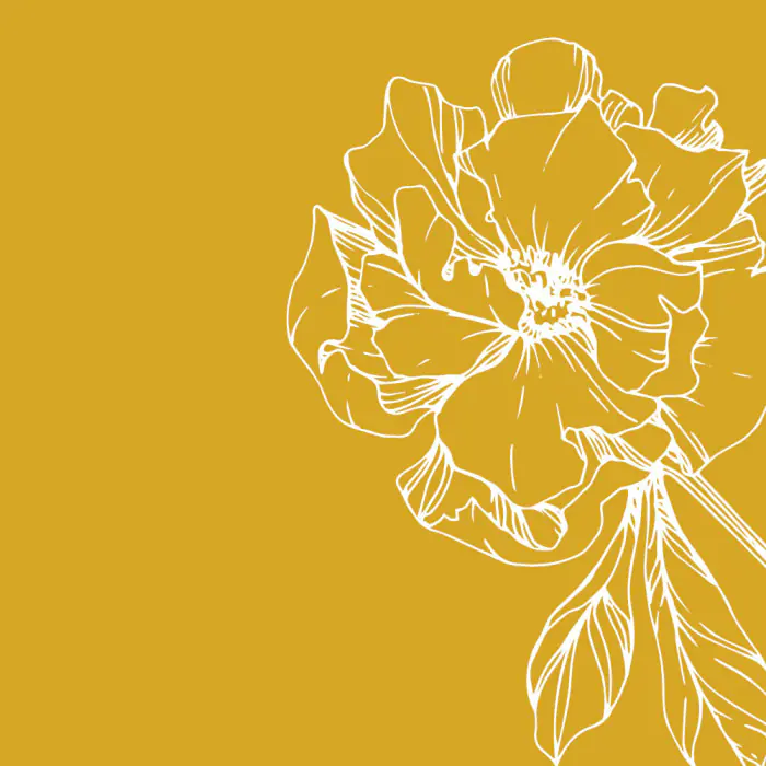 brandcom referenz hotel stuempelstal 13