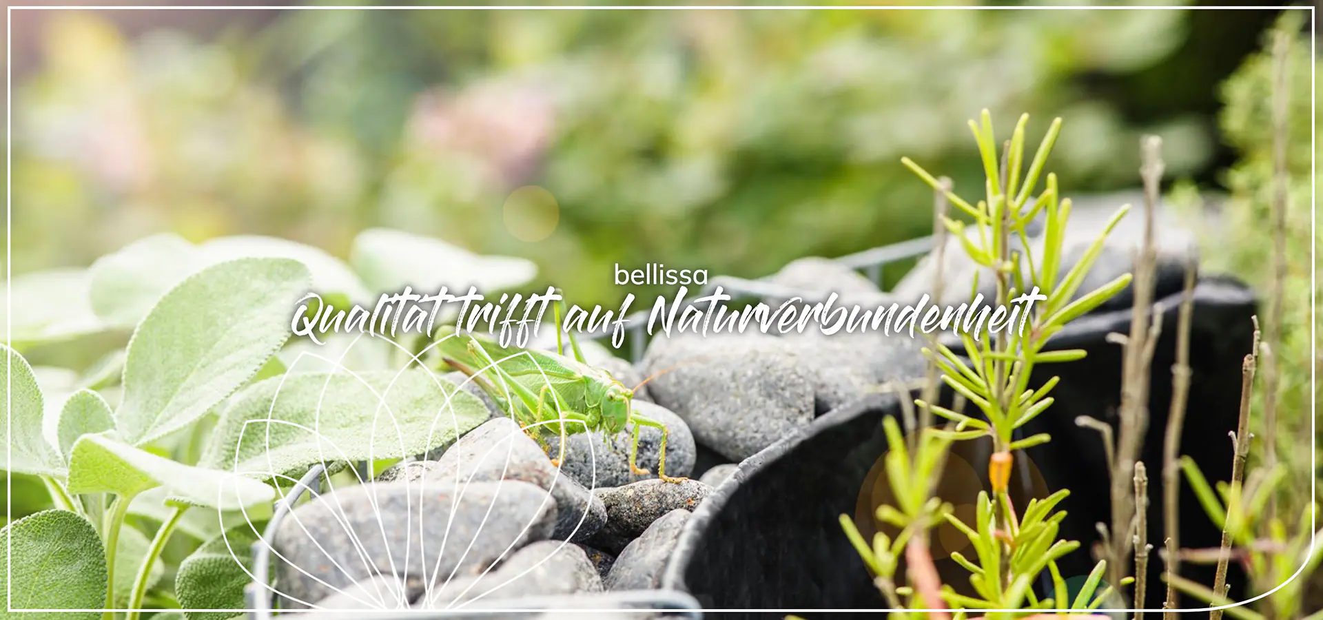 header bc werbeagentur muc referenz bellissa