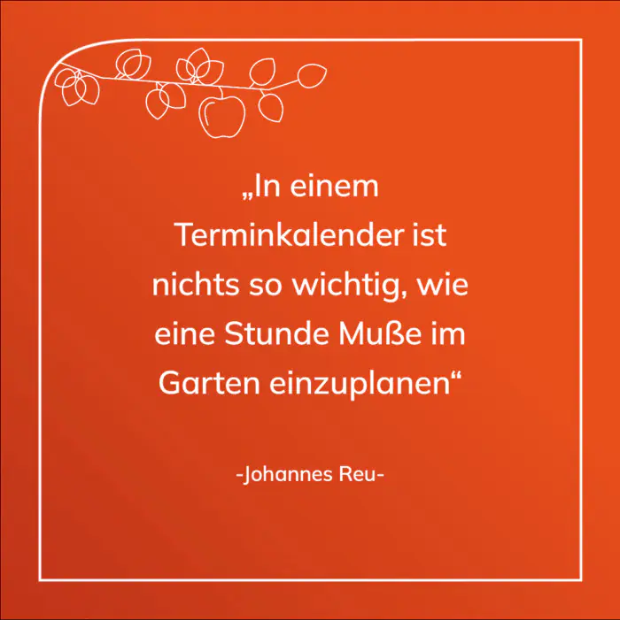 bc werbeagentur referenz bellissa V4