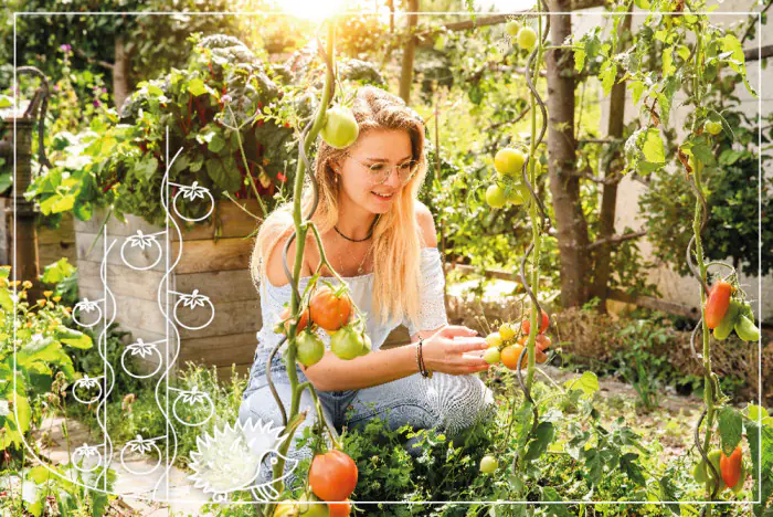 bc werbeagentur referenz bellissa V5