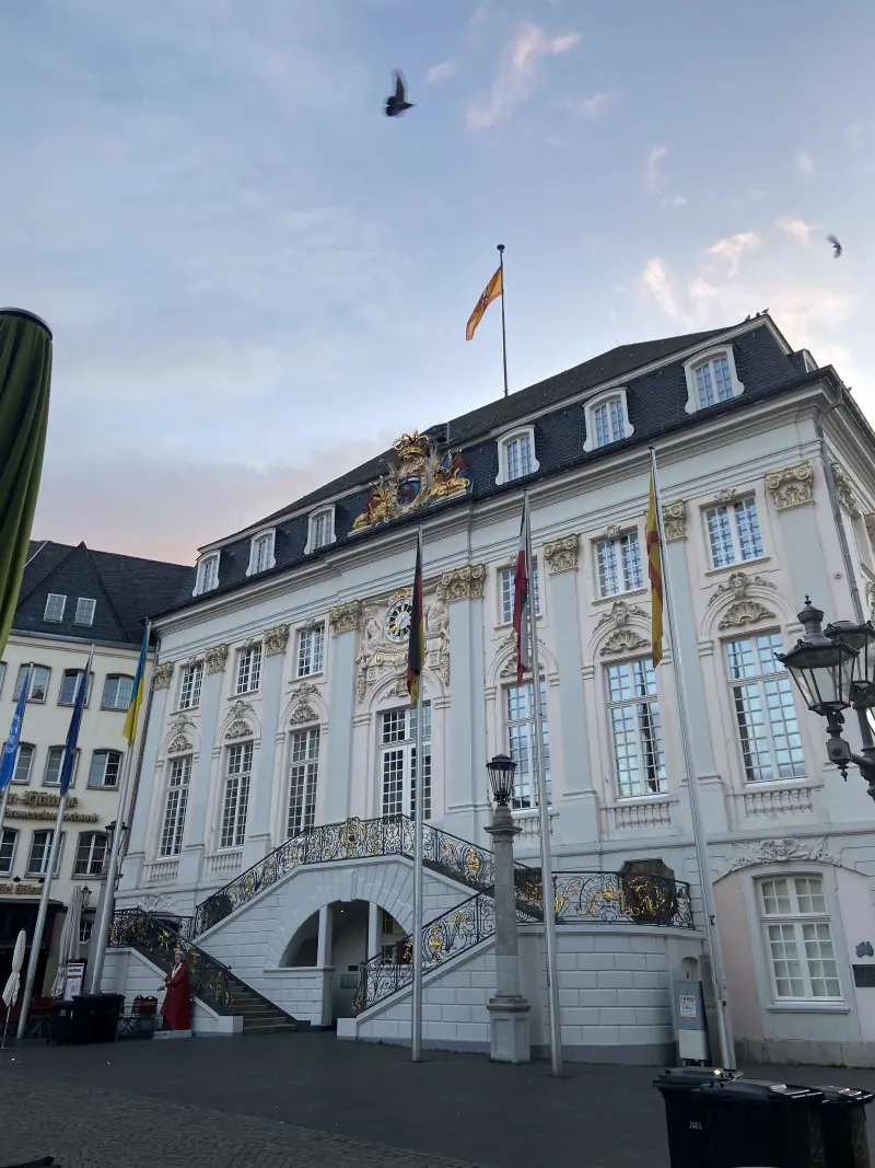 brandcom werbeagentur bonn