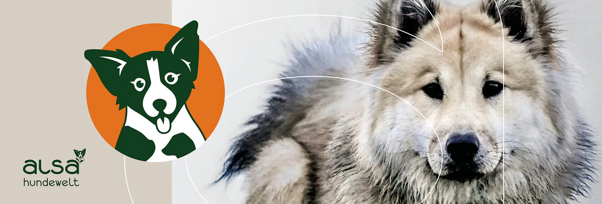 01 werbeagentur referenzen alsa 2025 header