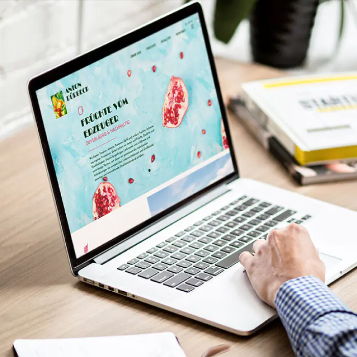 brandcom werbeagentur frankfurt koeln muenchen referenzen easer